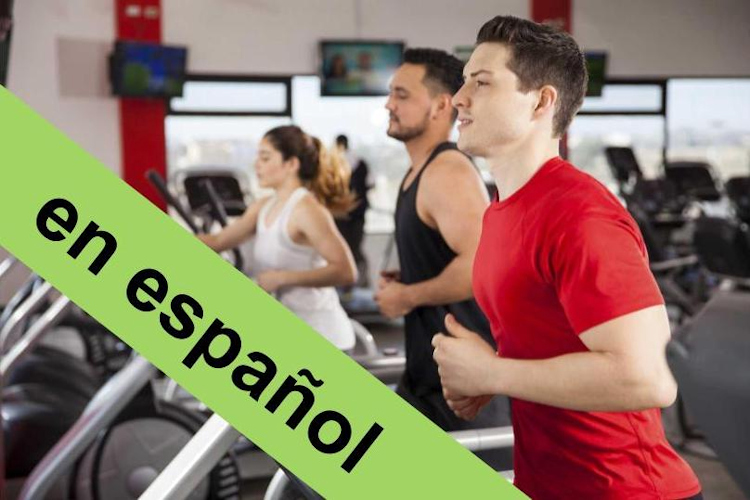 Lo esencial de la Diabetes y su Tratamiento